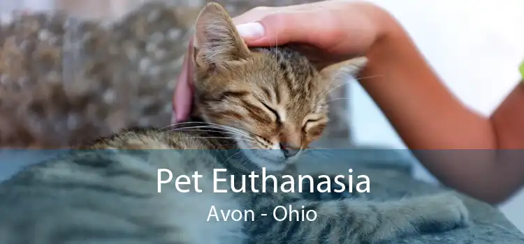 Pet Euthanasia Avon - Ohio