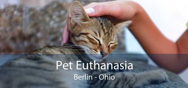 Pet Euthanasia Berlin - Ohio