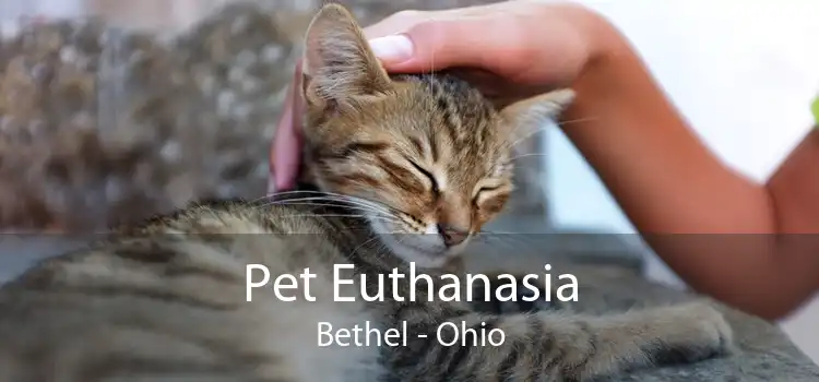 Pet Euthanasia Bethel - Ohio