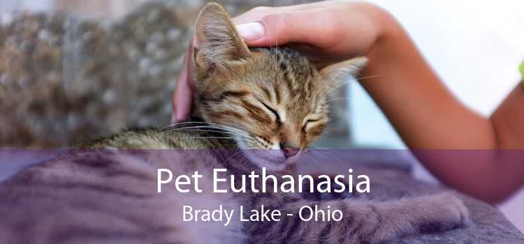 Pet Euthanasia Brady Lake - Ohio