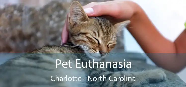 Pet Euthanasia Charlotte - North Carolina
