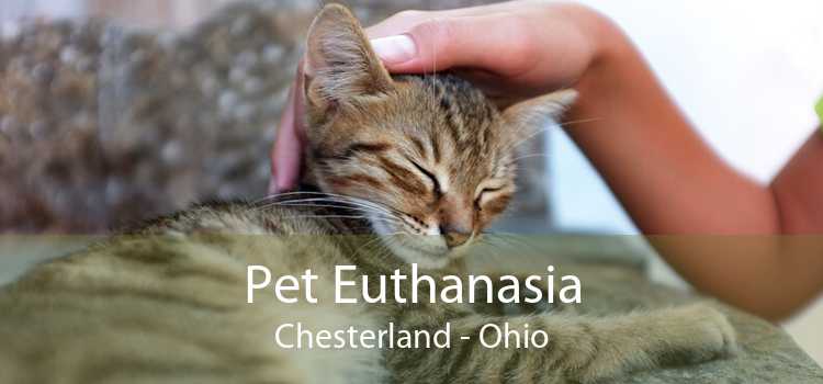 Pet Euthanasia Chesterland - Ohio