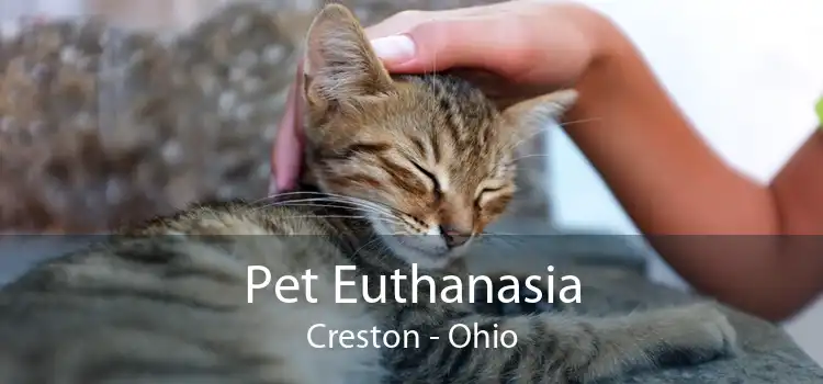Pet Euthanasia Creston - Ohio