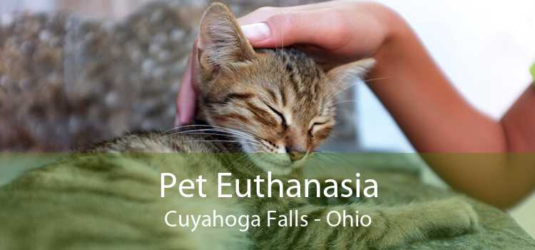 Pet Euthanasia Cuyahoga Falls - Ohio