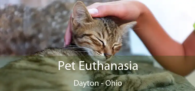 Pet Euthanasia Dayton - Ohio