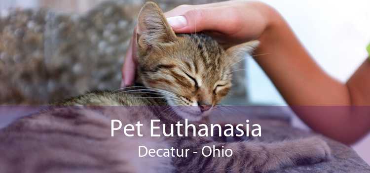 Pet Euthanasia Decatur - Ohio