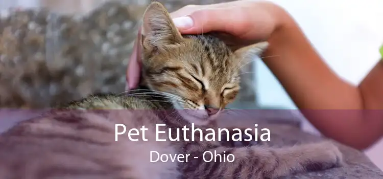 Pet Euthanasia Dover - Ohio