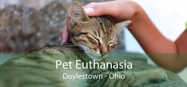 Pet Euthanasia Doylestown - Ohio