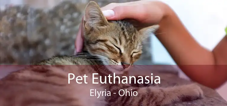 Pet Euthanasia Elyria - Ohio