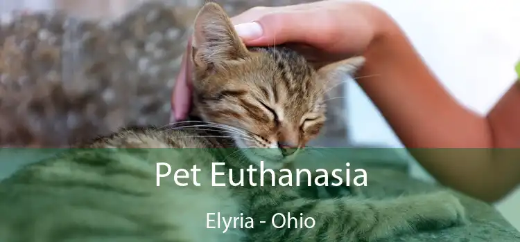 Pet Euthanasia Elyria - Ohio