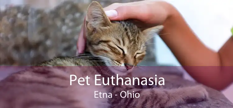 Pet Euthanasia Etna - Ohio