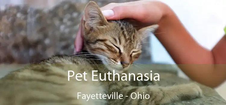 Pet Euthanasia Fayetteville - Ohio