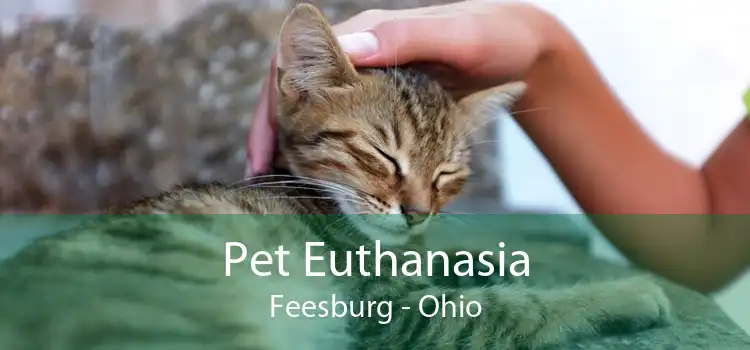 Pet Euthanasia Feesburg - Ohio
