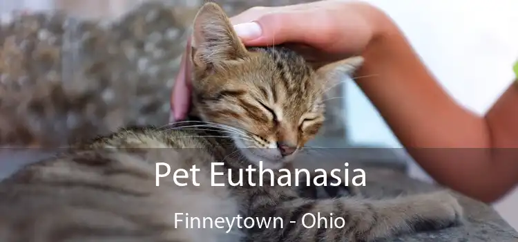Pet Euthanasia Finneytown - Ohio