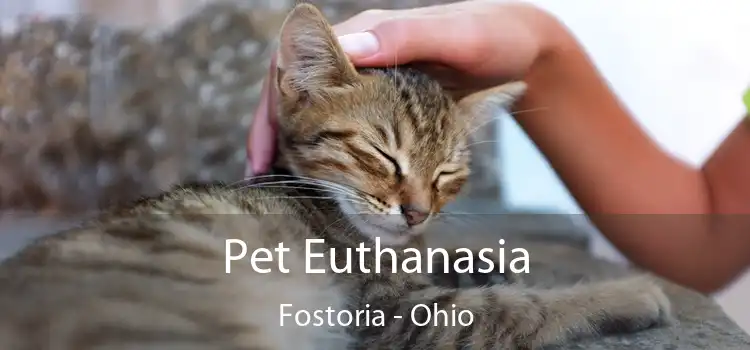 Pet Euthanasia Fostoria - Ohio