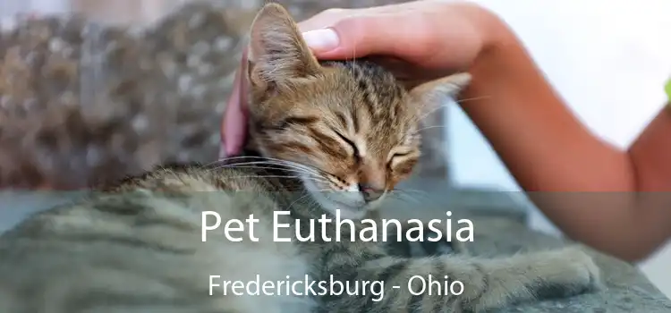 Pet Euthanasia Fredericksburg - Ohio
