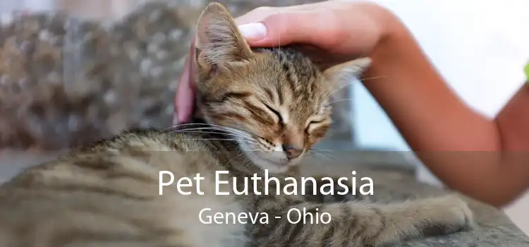 Pet Euthanasia Geneva - Ohio