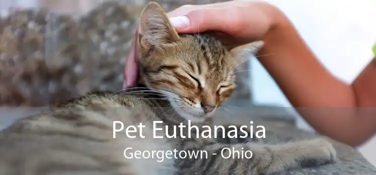 Pet Euthanasia Georgetown - Ohio