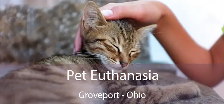 Pet Euthanasia Groveport - Ohio