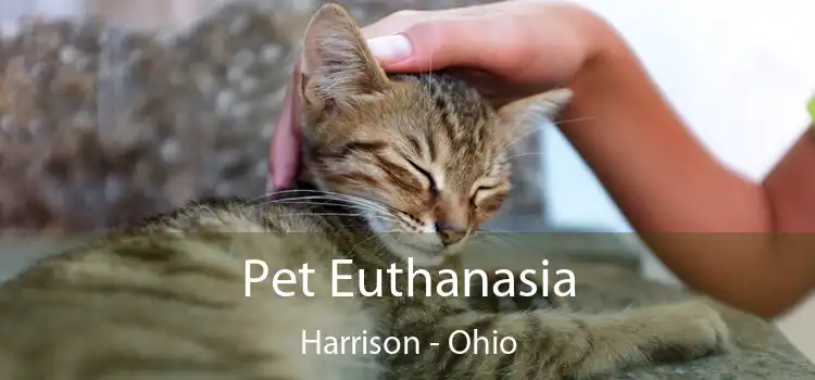 Pet Euthanasia Harrison - Ohio