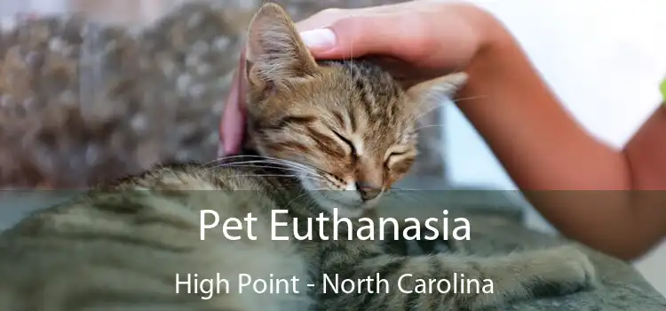 Pet Euthanasia High Point - North Carolina