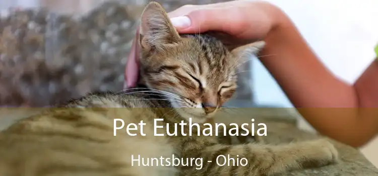 Pet Euthanasia Huntsburg - Ohio