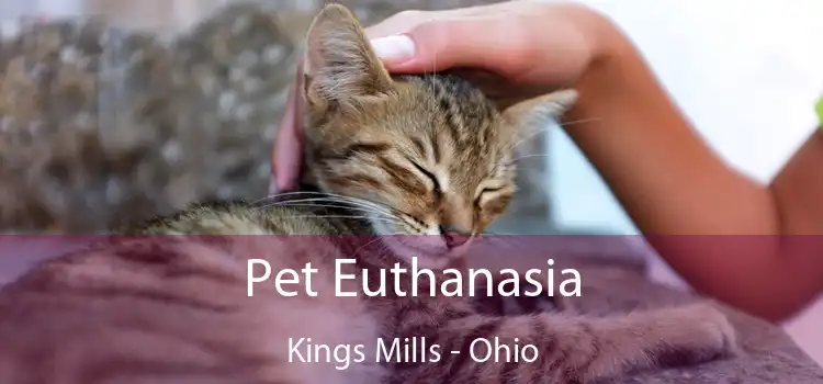 Pet Euthanasia Kings Mills - Ohio