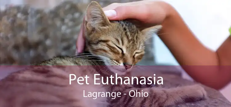 Pet Euthanasia Lagrange - Ohio
