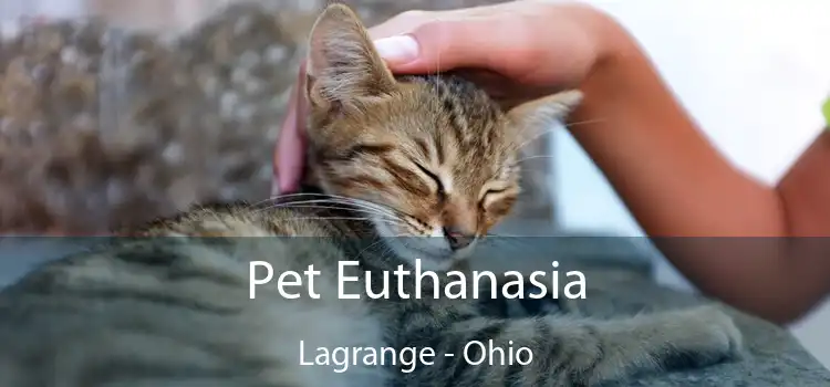 Pet Euthanasia Lagrange - Ohio