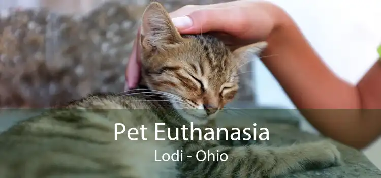 Pet Euthanasia Lodi - Ohio