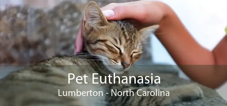 Pet Euthanasia Lumberton - North Carolina