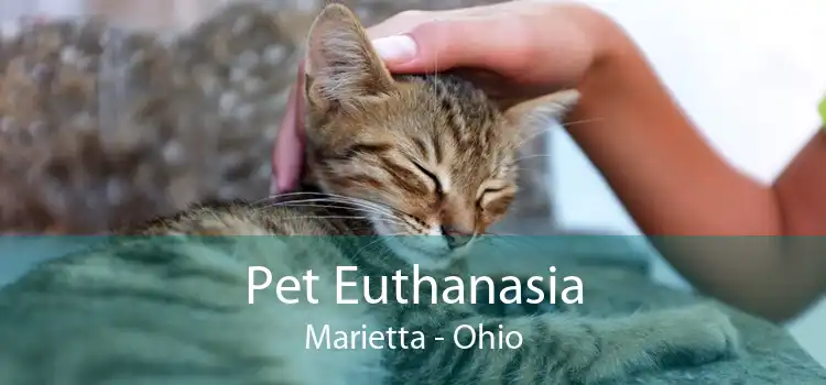 Pet Euthanasia Marietta - Ohio