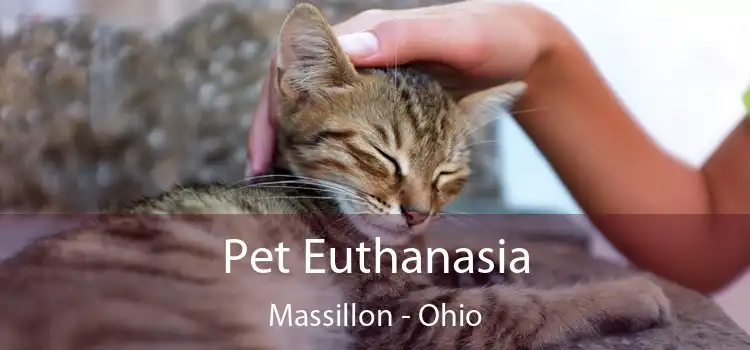 Pet Euthanasia Massillon - Ohio