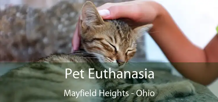 Pet Euthanasia Mayfield Heights - Ohio