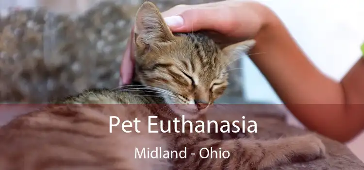 Pet Euthanasia Midland - Ohio