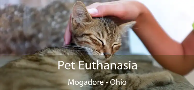 Pet Euthanasia Mogadore - Ohio