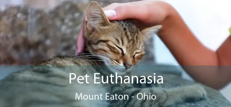 Pet Euthanasia Mount Eaton - Ohio