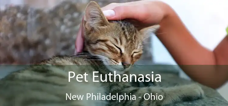Pet Euthanasia New Philadelphia - Ohio