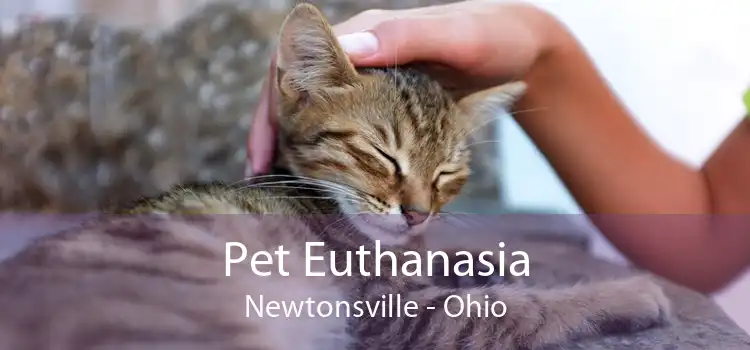 Pet Euthanasia Newtonsville - Ohio