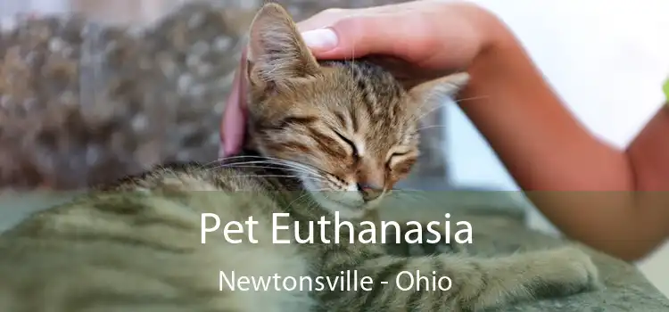 Pet Euthanasia Newtonsville - Ohio