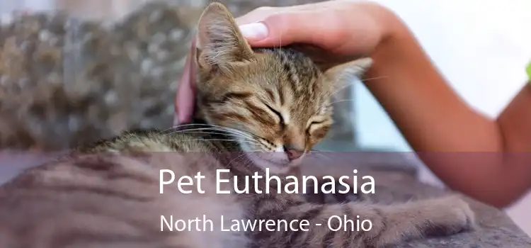Pet Euthanasia North Lawrence - Ohio