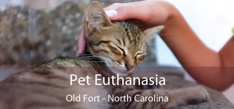 Pet Euthanasia Old Fort - North Carolina
