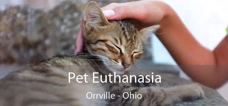 Pet Euthanasia Orrville - Ohio