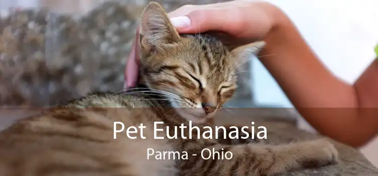 Pet Euthanasia Parma - Ohio