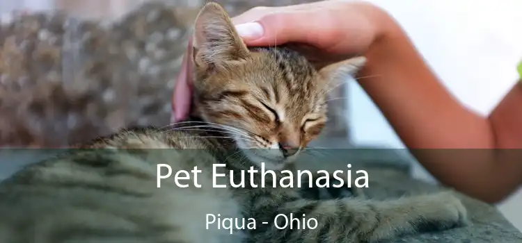 Pet Euthanasia Piqua - Ohio