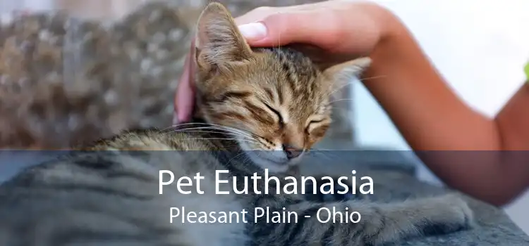 Pet Euthanasia Pleasant Plain - Ohio