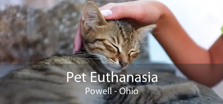 Pet Euthanasia Powell - Ohio