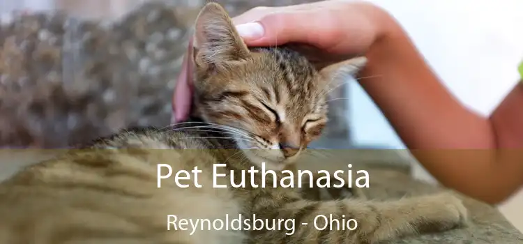 Pet Euthanasia Reynoldsburg - Ohio