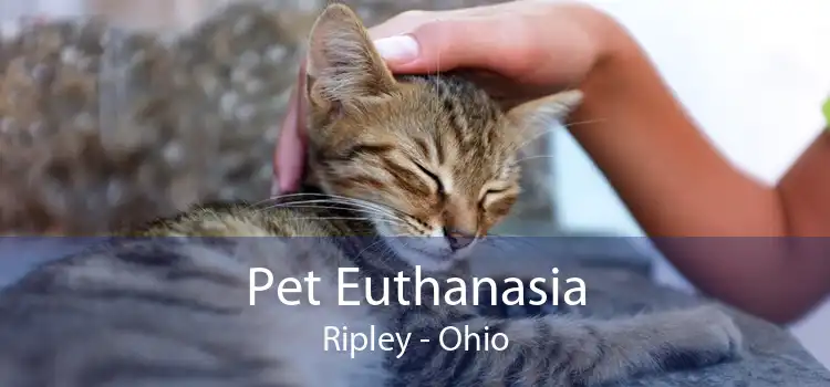 Pet Euthanasia Ripley - Ohio
