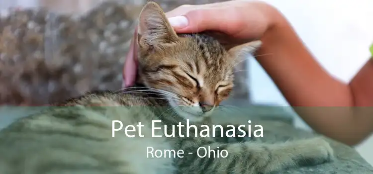 Pet Euthanasia Rome - Ohio
